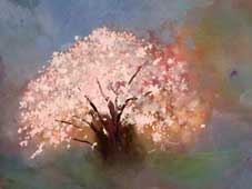 松井 一代 「桜」 (水彩, F6)