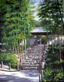 須山 昇司